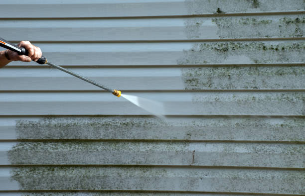 Attic Mold Removal in Ball Ground, GA