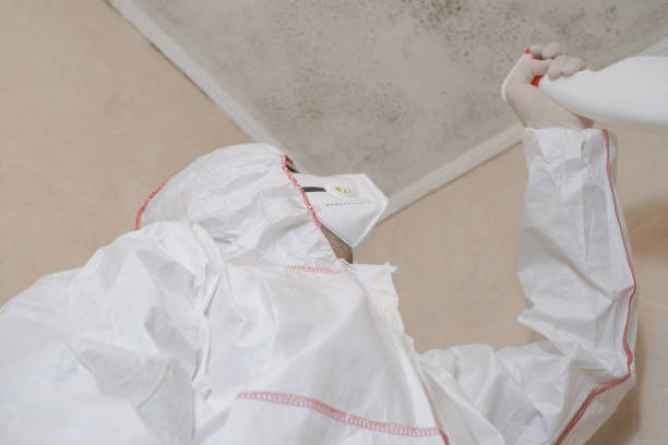 Best Professional Mold Removal  in Ball Ground, GA